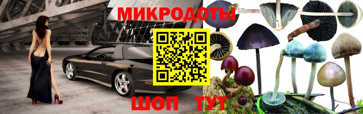 Псилоцибиновые грибы Psilocybine cubensis  Галлюциногенные грибы Psilocybe  Майкоп  Вход с VPN 